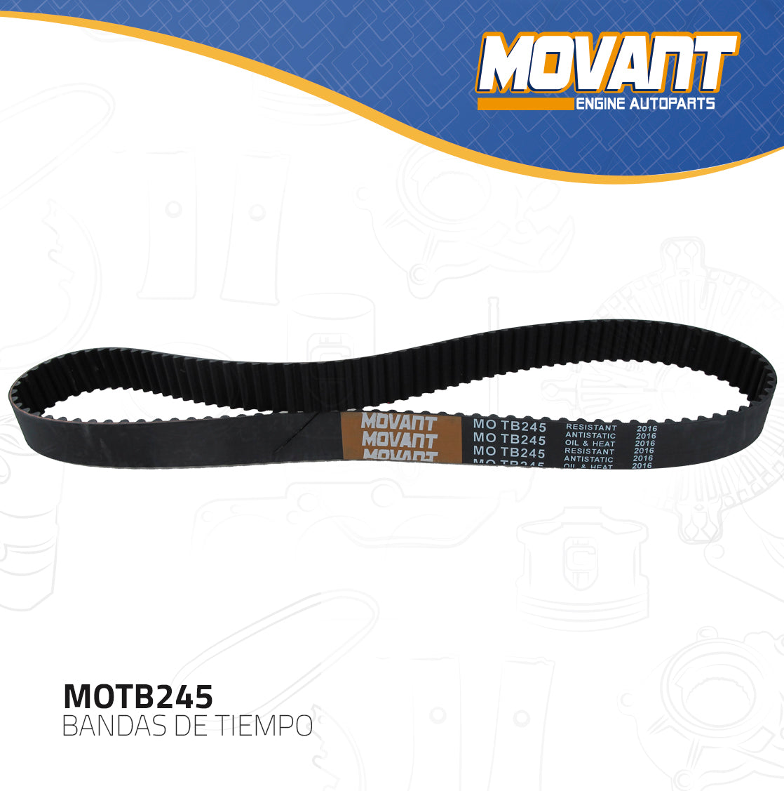 Banda Tiempo Movant MOTB245