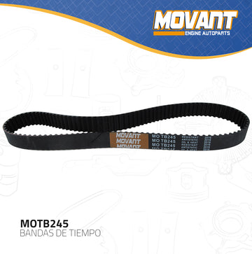 Banda Tiempo Movant MOTB245