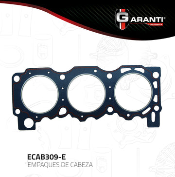 Empaque cabeza ECAB309-E (GARANTI)