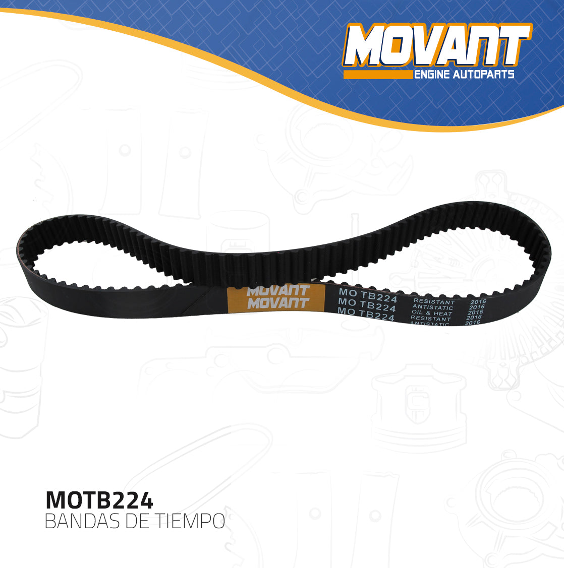 Banda Tiempo Movant MOTB224