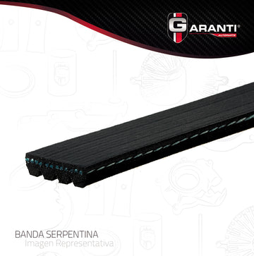 Banda Poly V Garanti 4K400