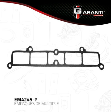 Empaque Multiple Pleno Garanti EM4245-P