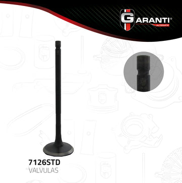 Válvula de escape 7126STD (GARANTI)