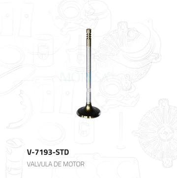 Válvula de admisión V-7193-STD (MORESA)