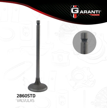 Válvula de admisión 2860STD (GARANTI)