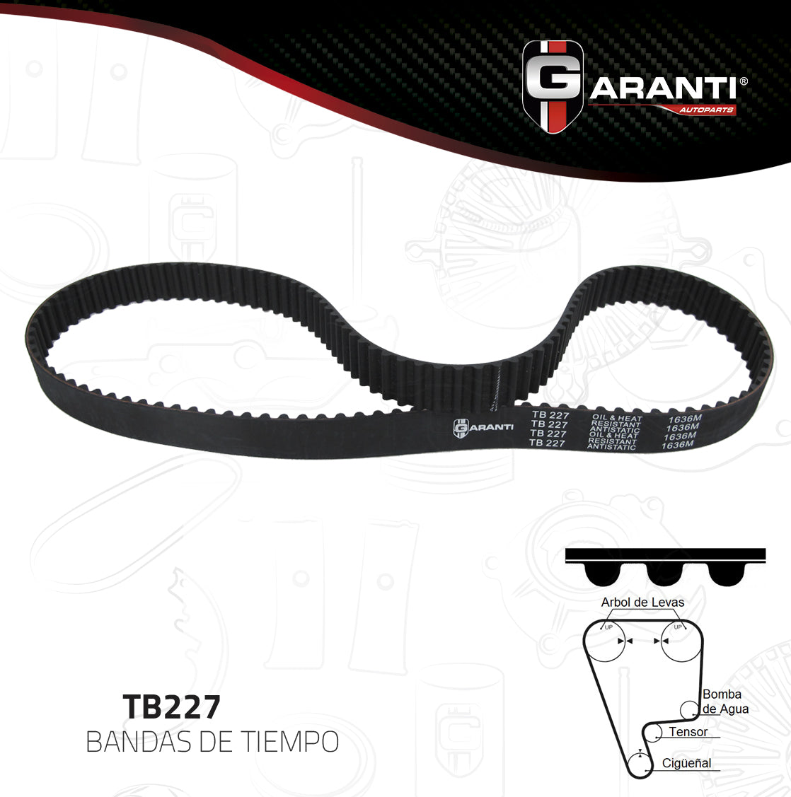 Banda Tiempo Garanti TB227