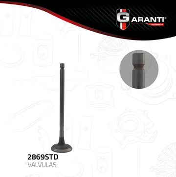 Válvula de escape 2869STD (GARANTI)