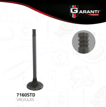 Válvula de escape 7160STD (GARANTI)