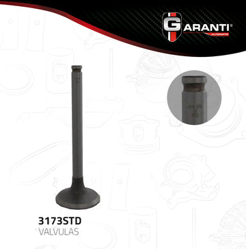Válvula de escape 3173STD (GARANTI)