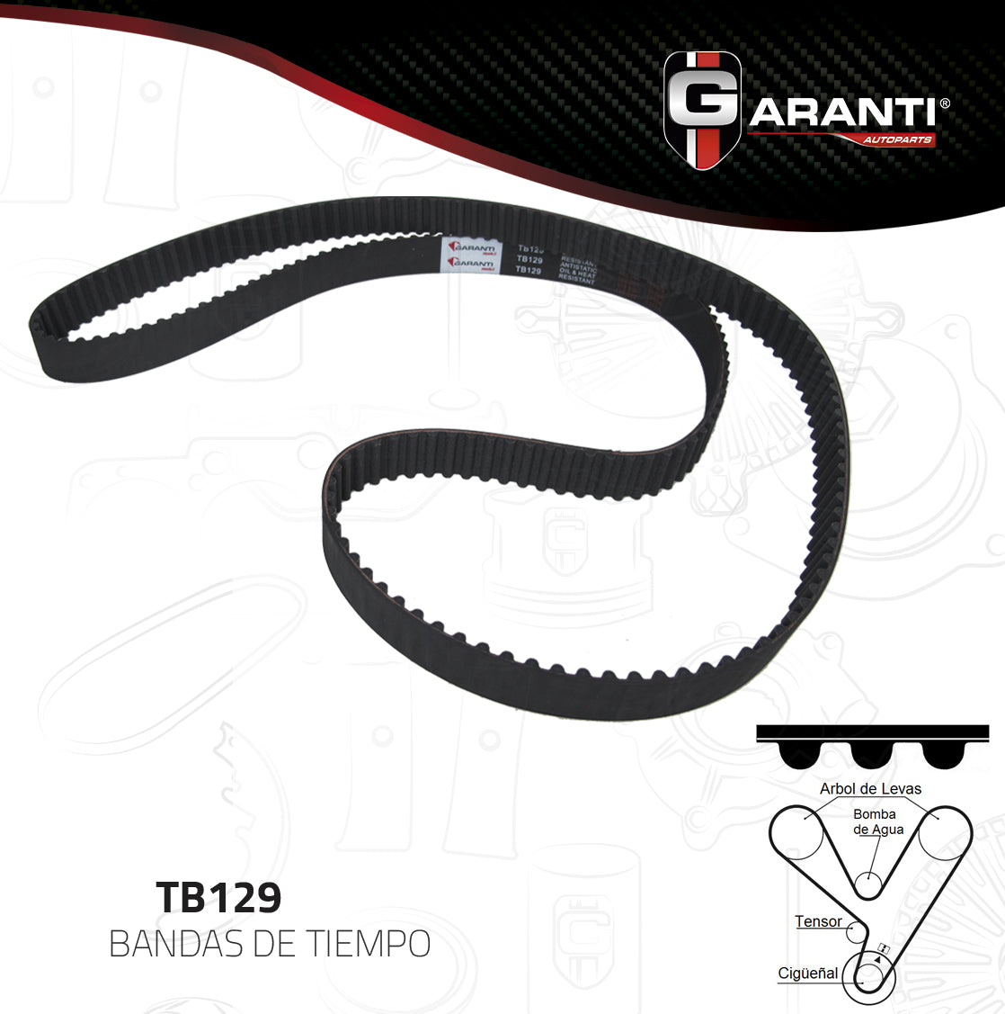 Banda Tiempo Garanti TB129