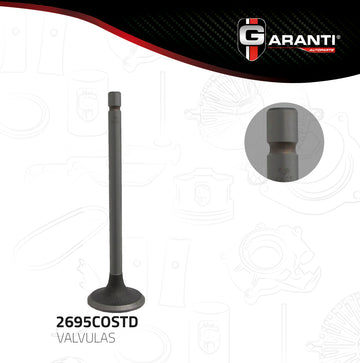 Válvula de escape 2695COSTD (GARANTI)