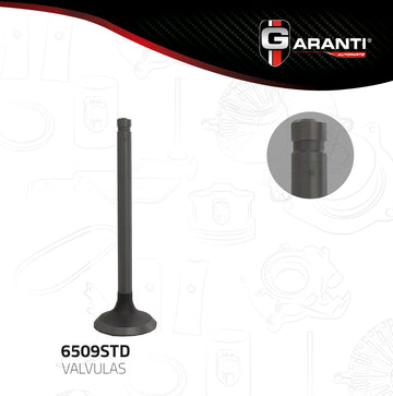 Válvula de escape 6509STD (GARANTI)