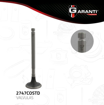 Válvula de escape 2747COSTD (GARANTI)