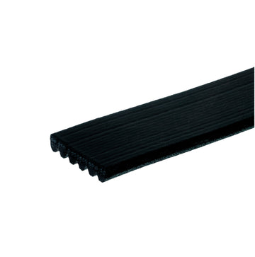 Banda Poly V Garanti 6K667