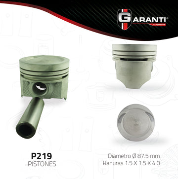 Pistones P219-020 (GARANTI)