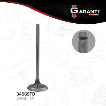 Válvula de admisión 3456STD (GARANTI)