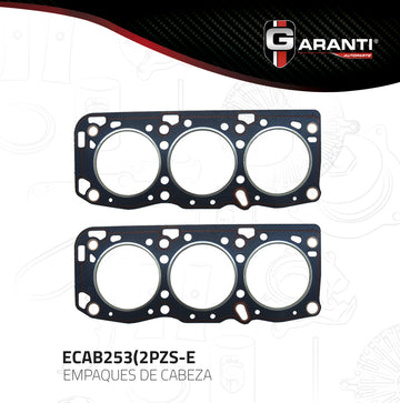 Empaque Cabeza Garanti ECAB253-2PZS-E