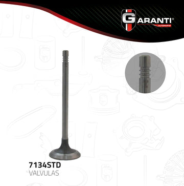 Válvula de escape 7134STD (GARANTI)