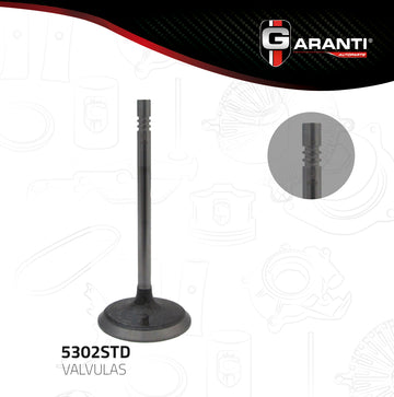Válvula de admisión 5302STD (GARANTI)