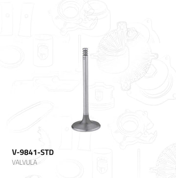 Válvula de admisión V-9841-STD (MORESA)