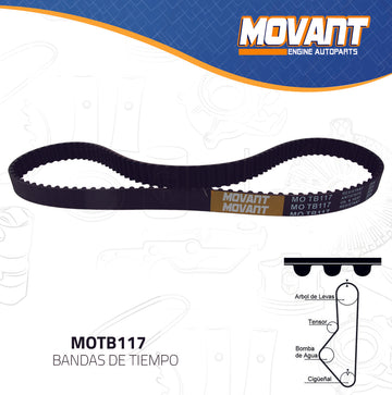 Banda Tiempo Garanti MOTB117