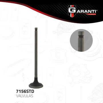 Válvula de escape 7156STD (GARANTI)