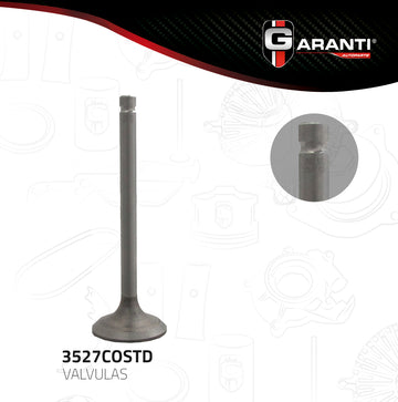 Válvula de escape 3527COSTD (GARANTI)
