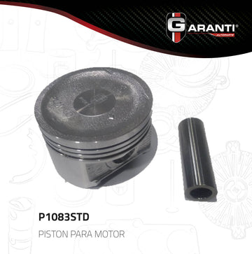 Pistones P1083-030 (GARANTI)