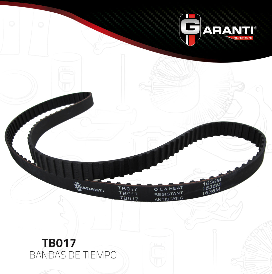 Banda Tiempo Garanti TB017