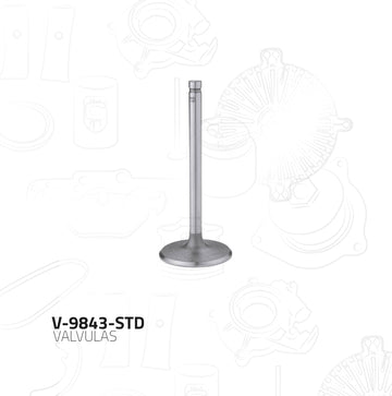 Válvula de escape V-9843-STD (MORESA)