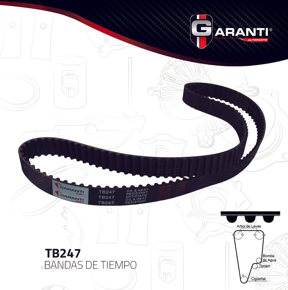 Banda Tiempo Garanti TB247