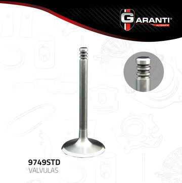 Valvula Admision Garanti 9749STD