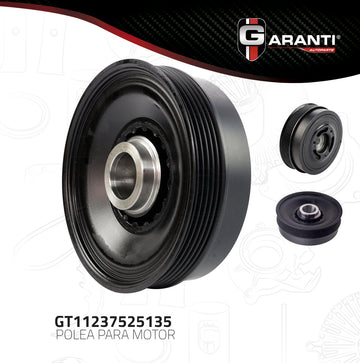 Polea accesorios GT11237525135 (GARANTI)