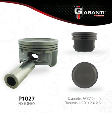 Pistones P1027-030 (GARANTI)
