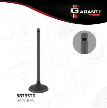 Válvula de admisión 9879STD (GARANTI)