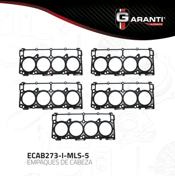 Empaque Cabeza Garanti ECAB273-I-MLS-5