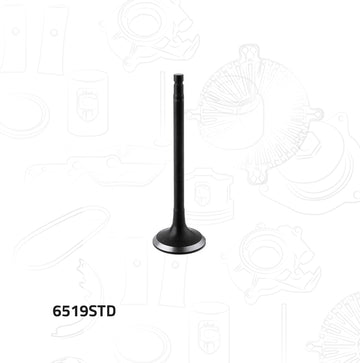 Válvula de escape 6519STD (GARANTI)
