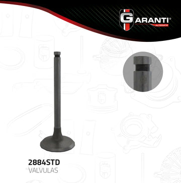 Válvula de admisión 2884STD (GARANTI)
