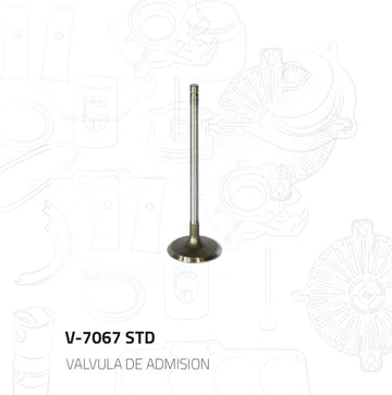 Válvula de admisión V-7067-STD (MORESA)
