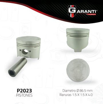 Pistones P2023-030 (GARANTI)