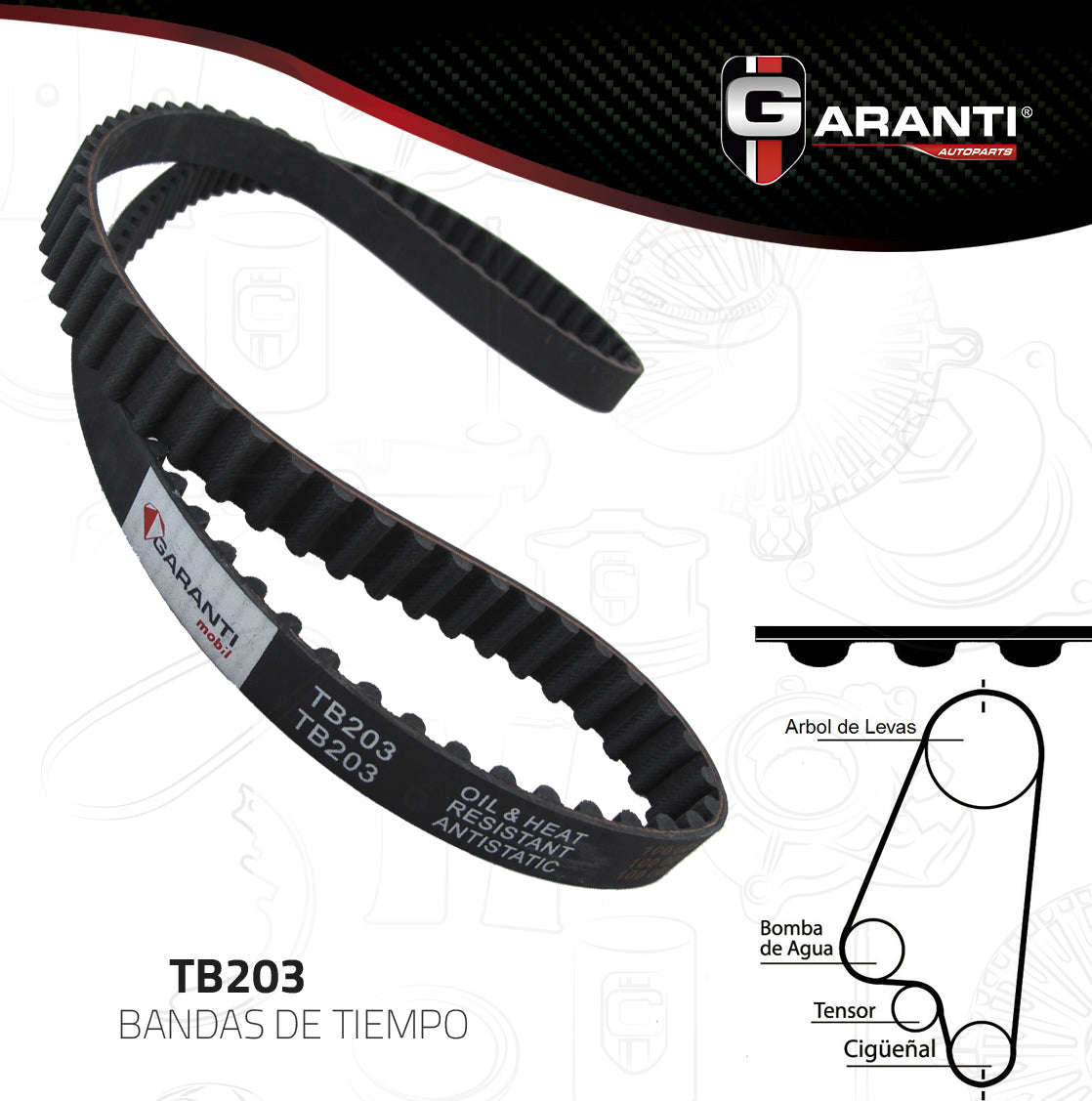 Banda Tiempo Garanti TB203