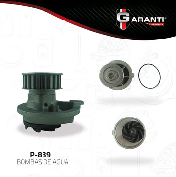 Bomba de agua Garanti P-839