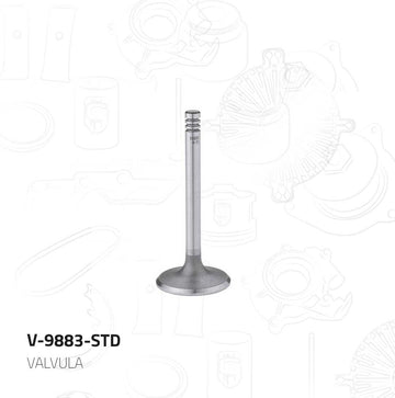 Válvula de admisión V-9883-STD (MORESA)